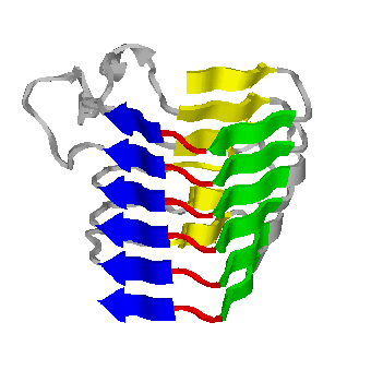 beta-helix