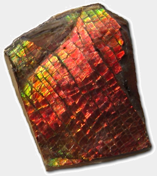 ammolite crystal
