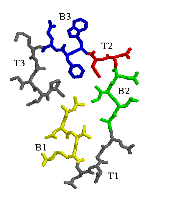 beta-helix rung